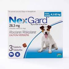 Nexgard Vs Frontline: Which Fights Ticks and Fleas Better?