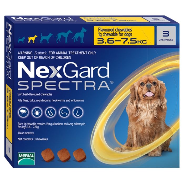 Why Choose NexGard Chewables for Dogs?
