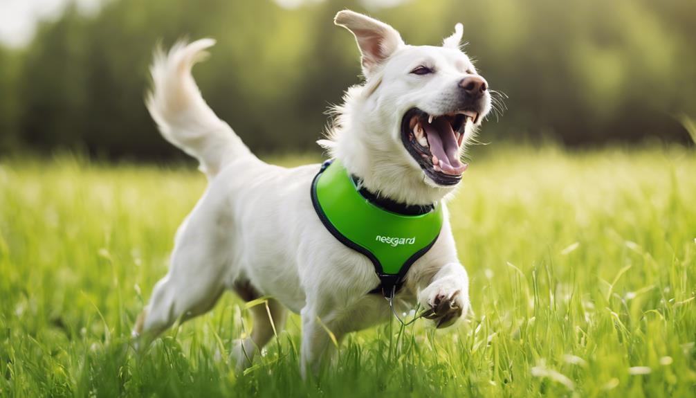 Is Nexgard Safe for Dogs